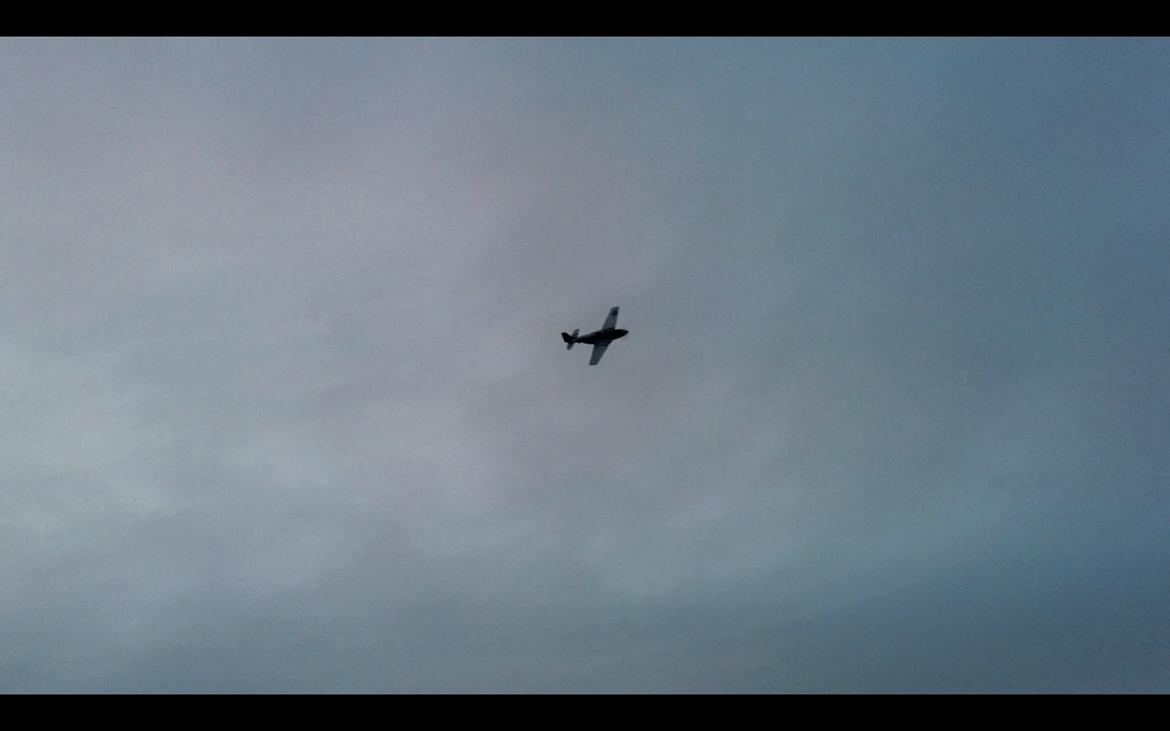 Fly Mustang P-51D (Warbird) billede 11