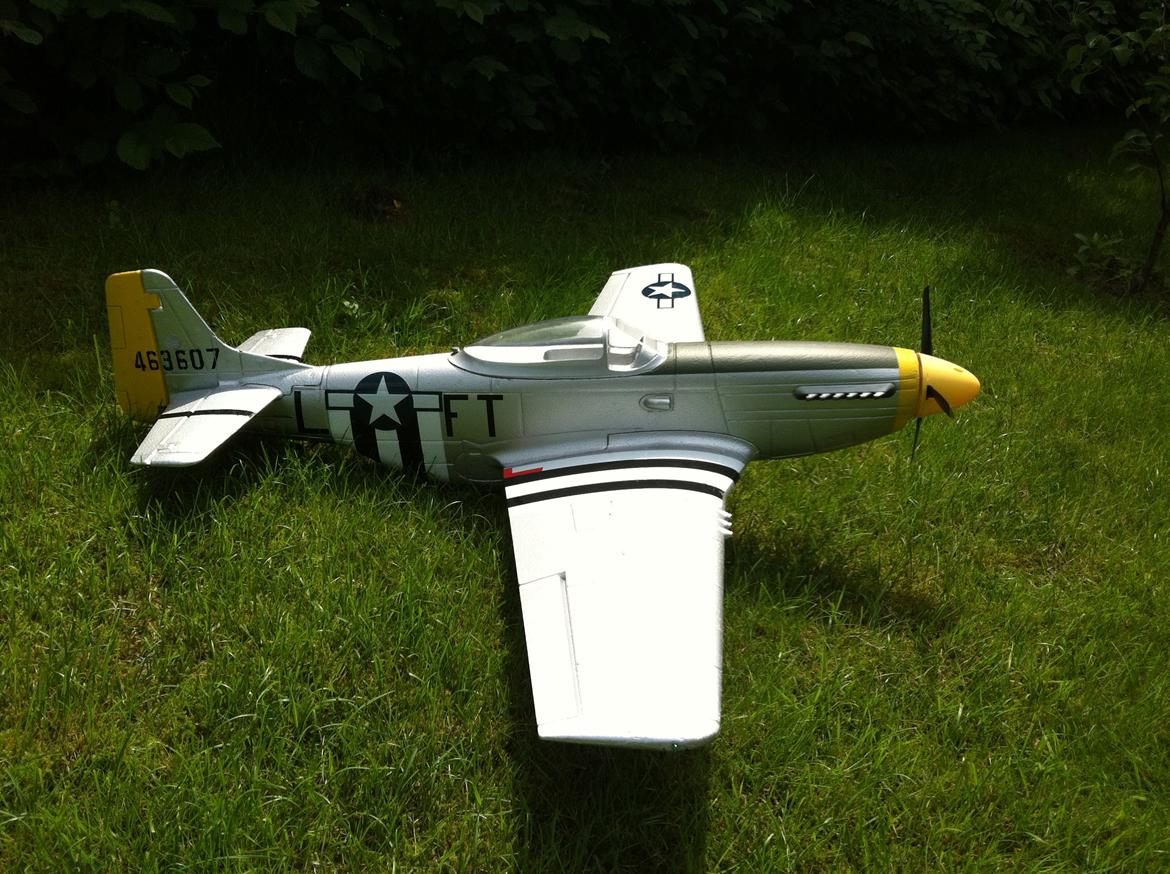 Fly Mustang P-51D (Warbird) billede 8