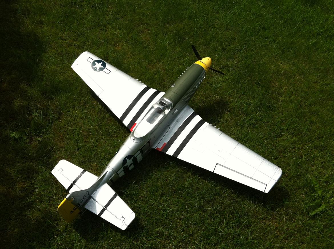 Fly Mustang P-51D (Warbird) billede 10