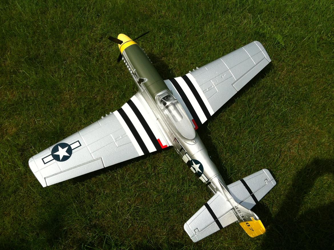 Fly Mustang P-51D (Warbird) billede 12