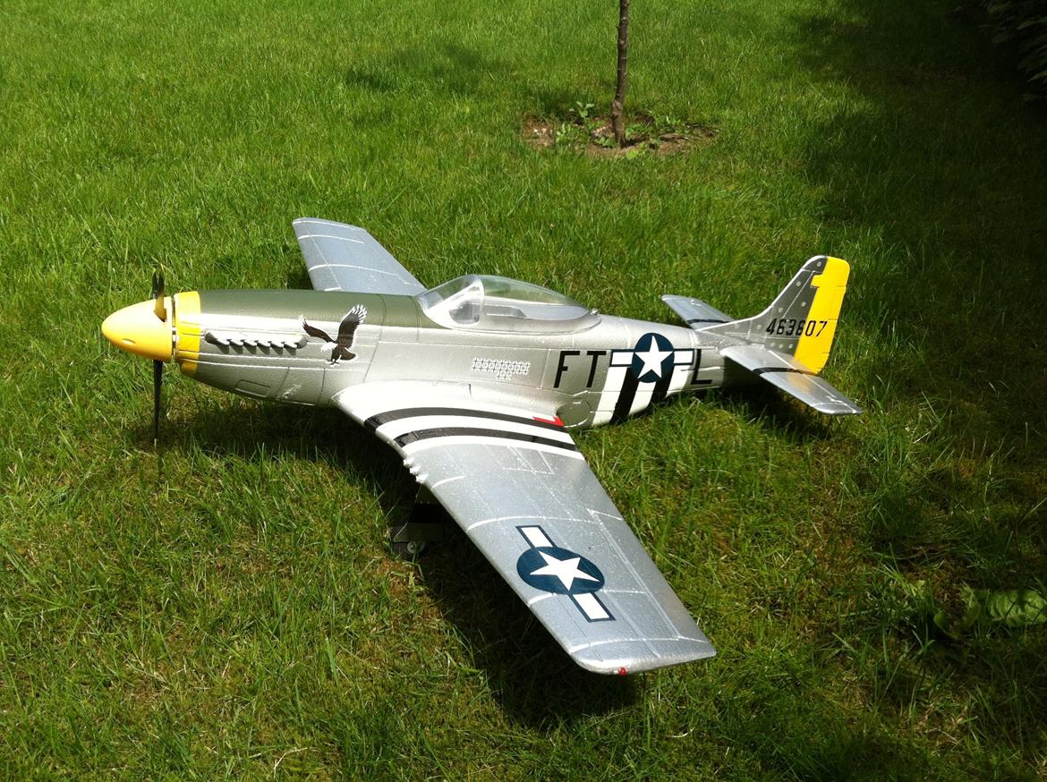 Fly Mustang P-51D (Warbird) billede 13