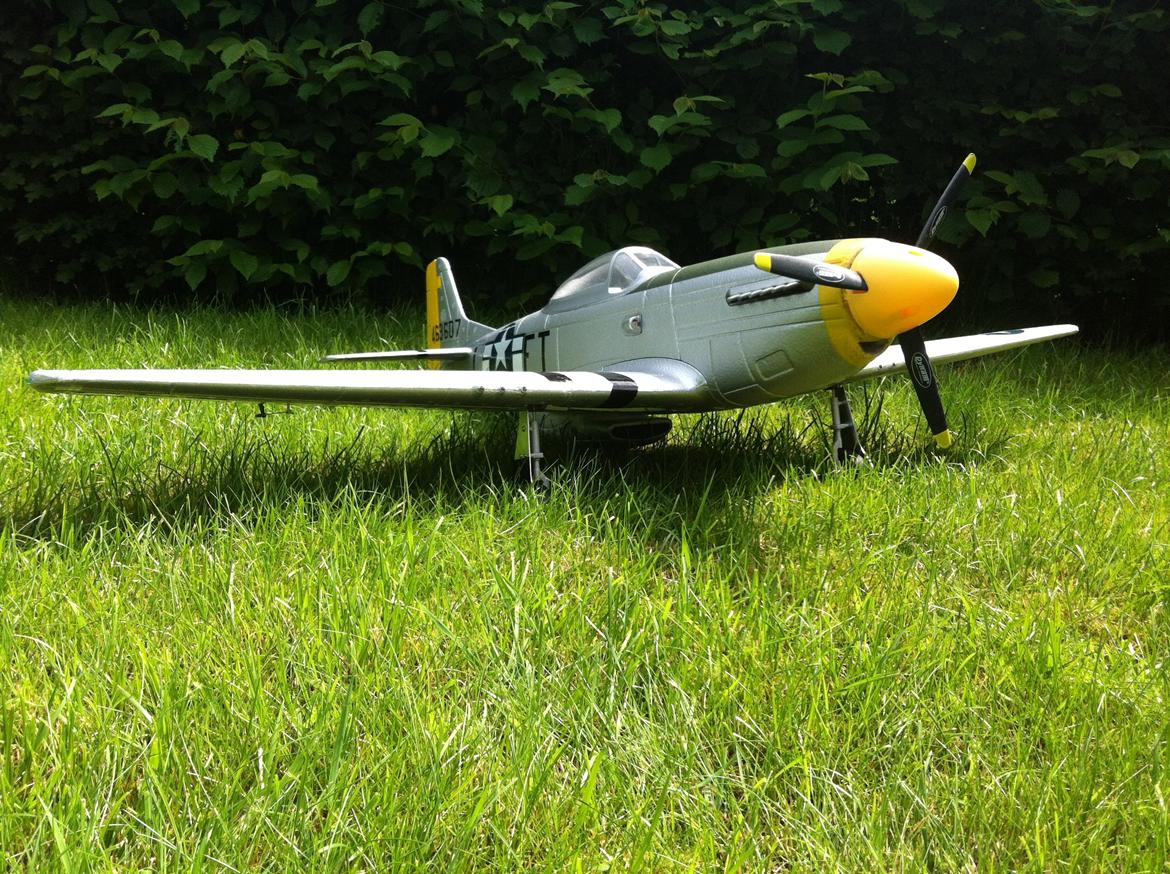 Fly Mustang P-51D (Warbird) billede 4