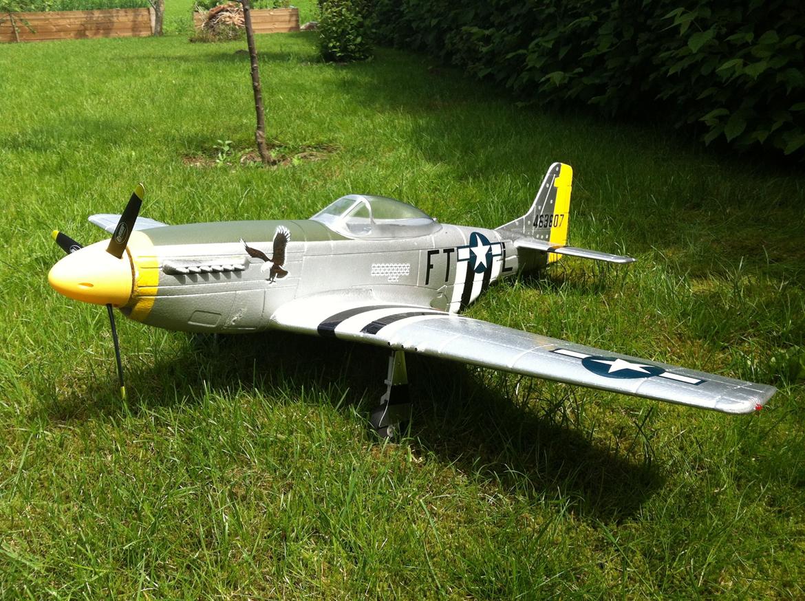Fly Mustang P-51D (Warbird) billede 17