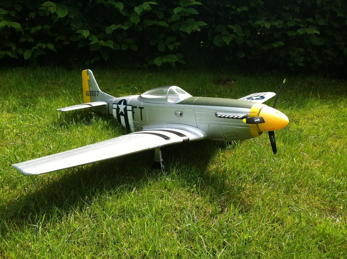 Fly Mustang P-51D (Warbird) billede 6