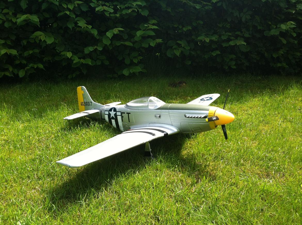 Fly Mustang P-51D (Warbird) billede 19