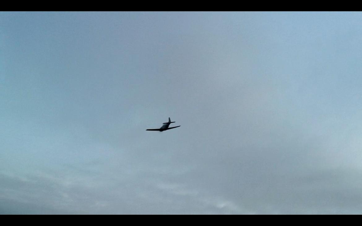 Fly Mustang P-51D (Warbird) billede 20