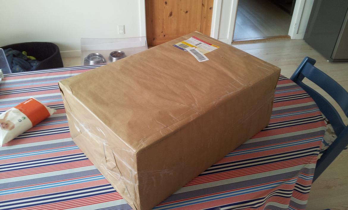 Off-Roader Ansmann Terrier 2,0 brushless billede 1