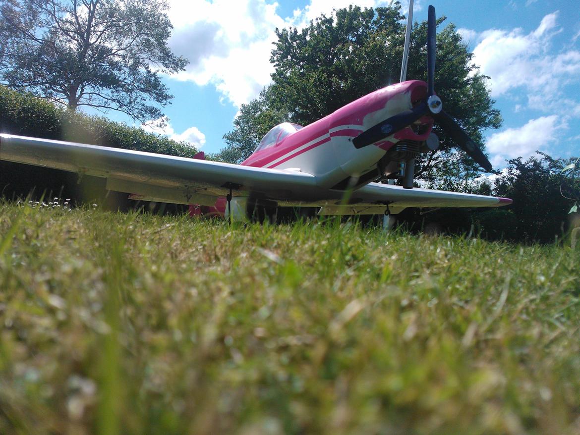 Fly Mustang P51 (Brumme) billede 1