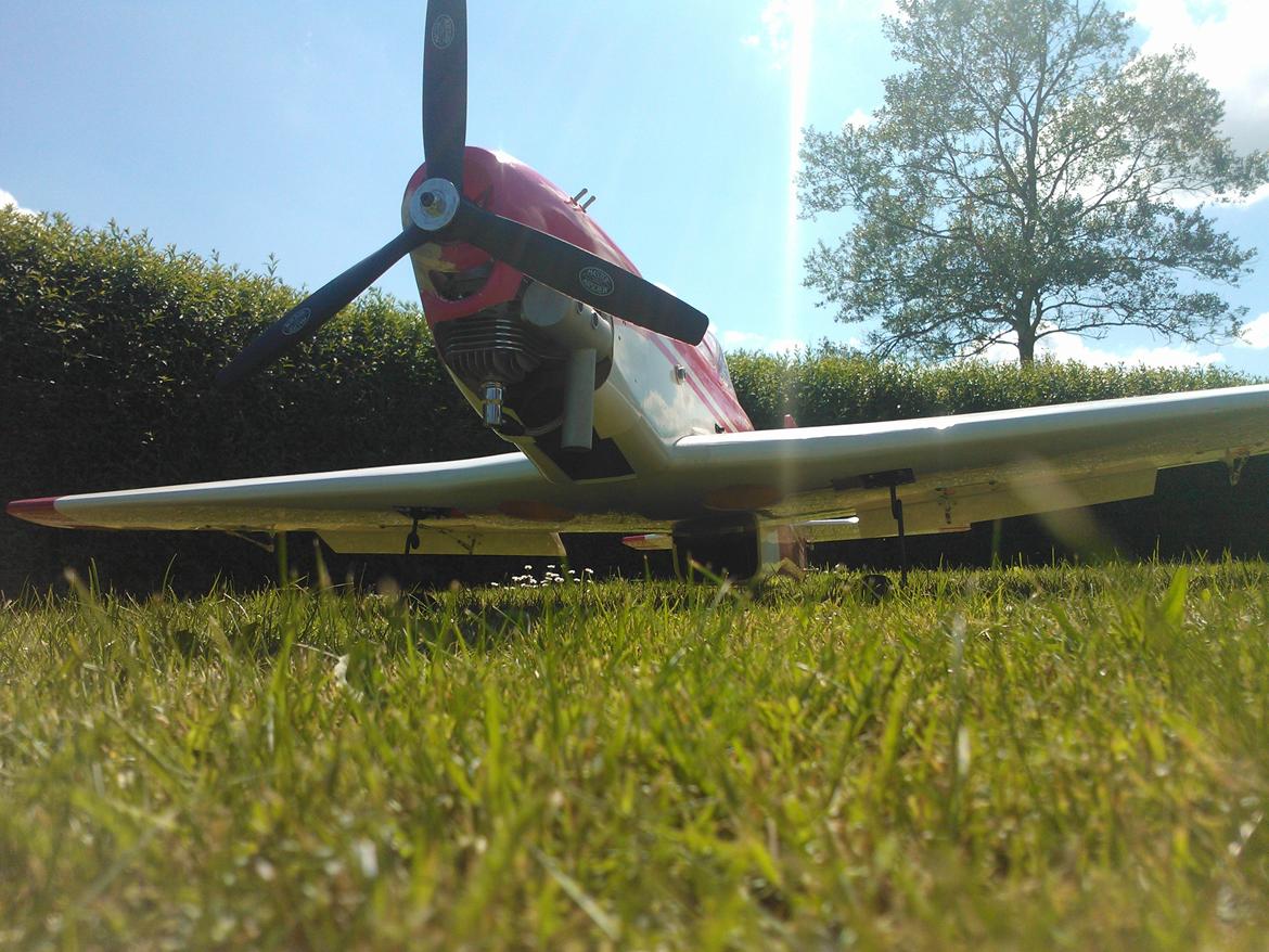 Fly Mustang P51 (Brumme) billede 6