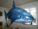 Fly Air Shark