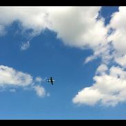 Fly Mustang P-51D (Warbird)