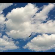 Fly Mustang P-51D (Warbird)