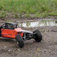 Buggy Losi xxx-scb