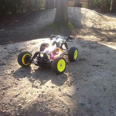 Buggy losi mini 8ight (baja bug)