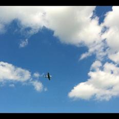 Fly Mustang P-51D (Warbird)