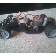 Bil compagnucci morris mascot