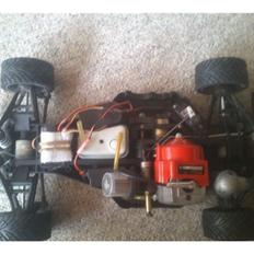 Bil compagnucci morris mascot