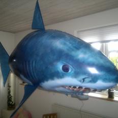 Fly Air Shark