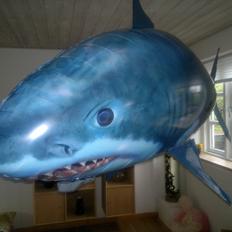 Fly Air Shark