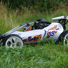 Buggy FG Baja 2WD
