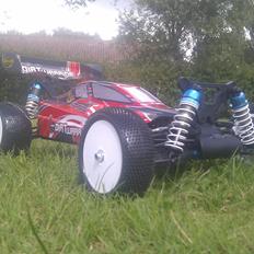 Buggy Carson Dirt Warrior 4wd