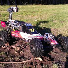 Buggy Hpi Baja 5b