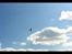 Fly Mustang P-51D (Warbird)