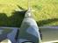 Fly Spitfire