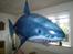Fly Air Shark