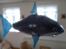 Fly Air Shark