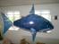 Fly Air Shark
