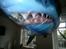 Fly Air Shark