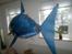 Fly Air Shark