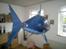 Fly Air Shark