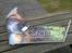 Fly Toro 900 wing