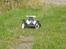Buggy FG Baja 2WD