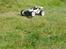Buggy FG Baja 2WD