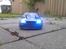 Bil Nissan Nismo R34 GT-R Z-Tune