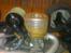 Truck Hong Nor X2-CRT