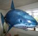 Fly Air Shark