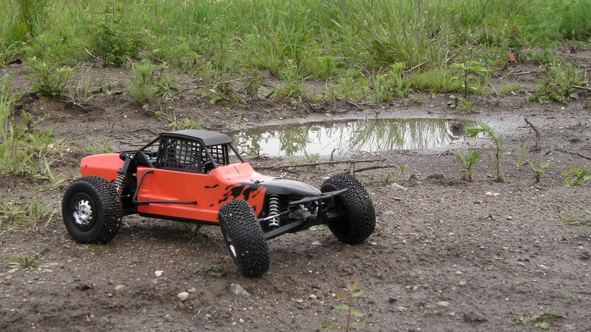 Buggy Losi xxx-scb billede 1