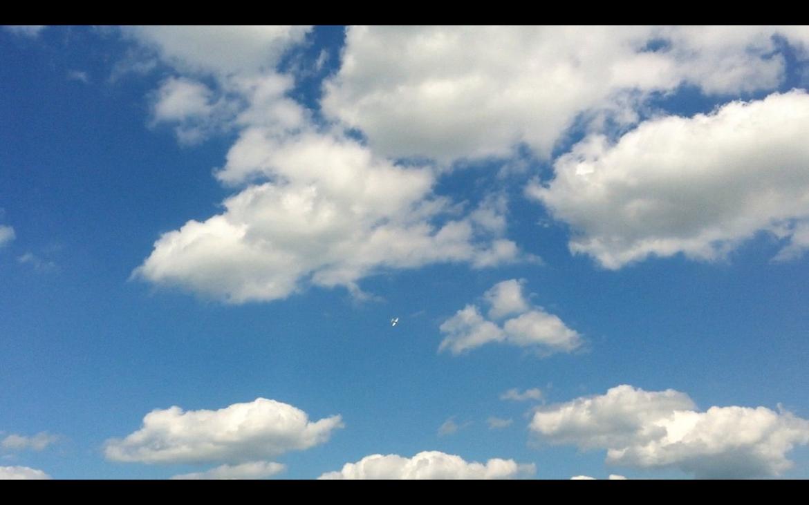 Fly Mustang P-51D (Warbird) billede 5