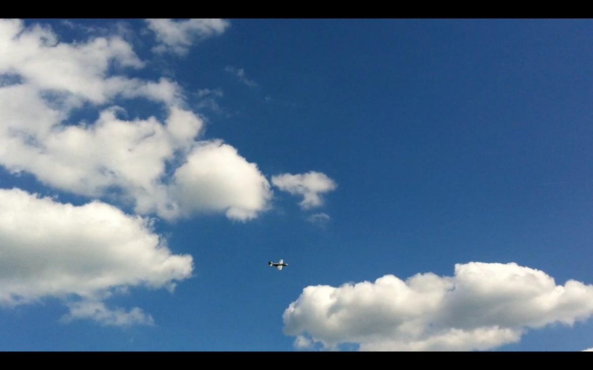 Fly Mustang P-51D (Warbird) billede 7