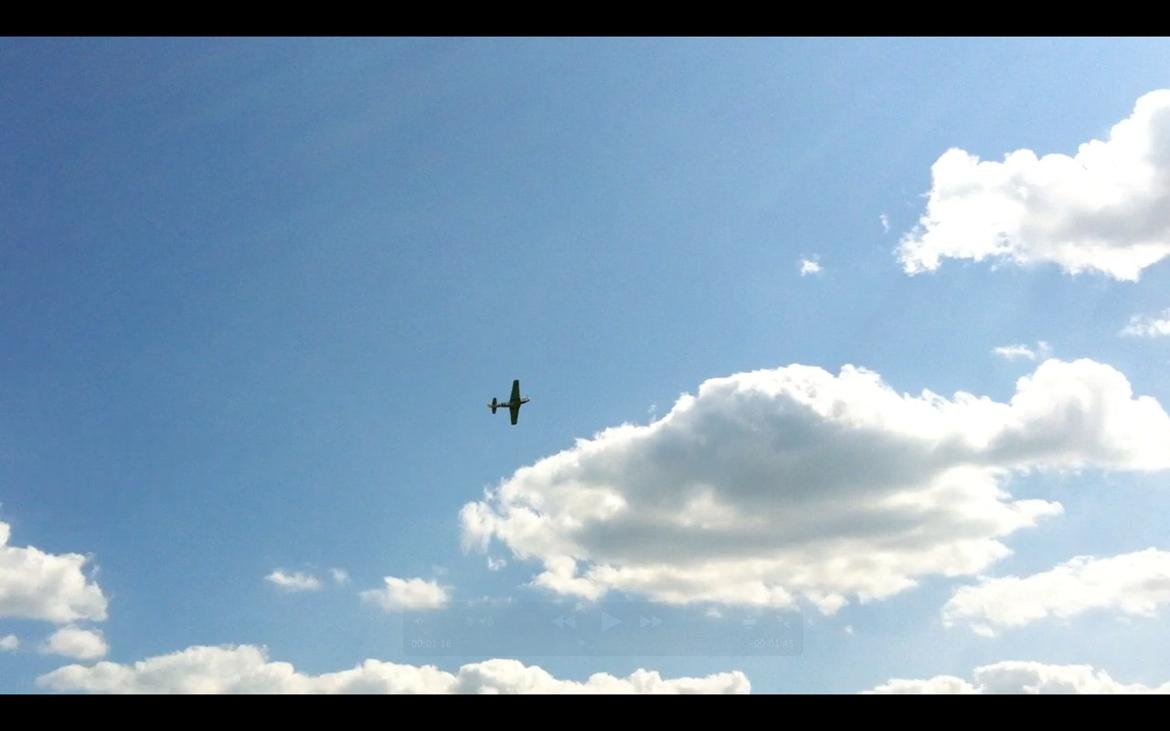 Fly Mustang P-51D (Warbird) billede 9