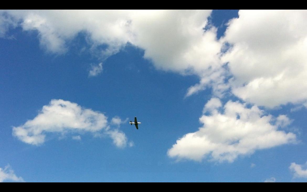 Fly Mustang P-51D (Warbird) billede 3