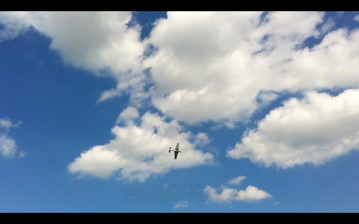 Fly Mustang P-51D (Warbird) billede 14