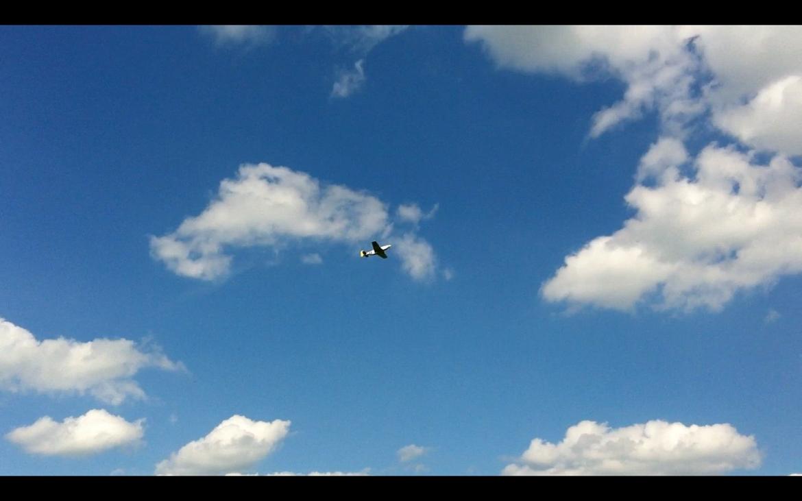 Fly Mustang P-51D (Warbird) billede 18