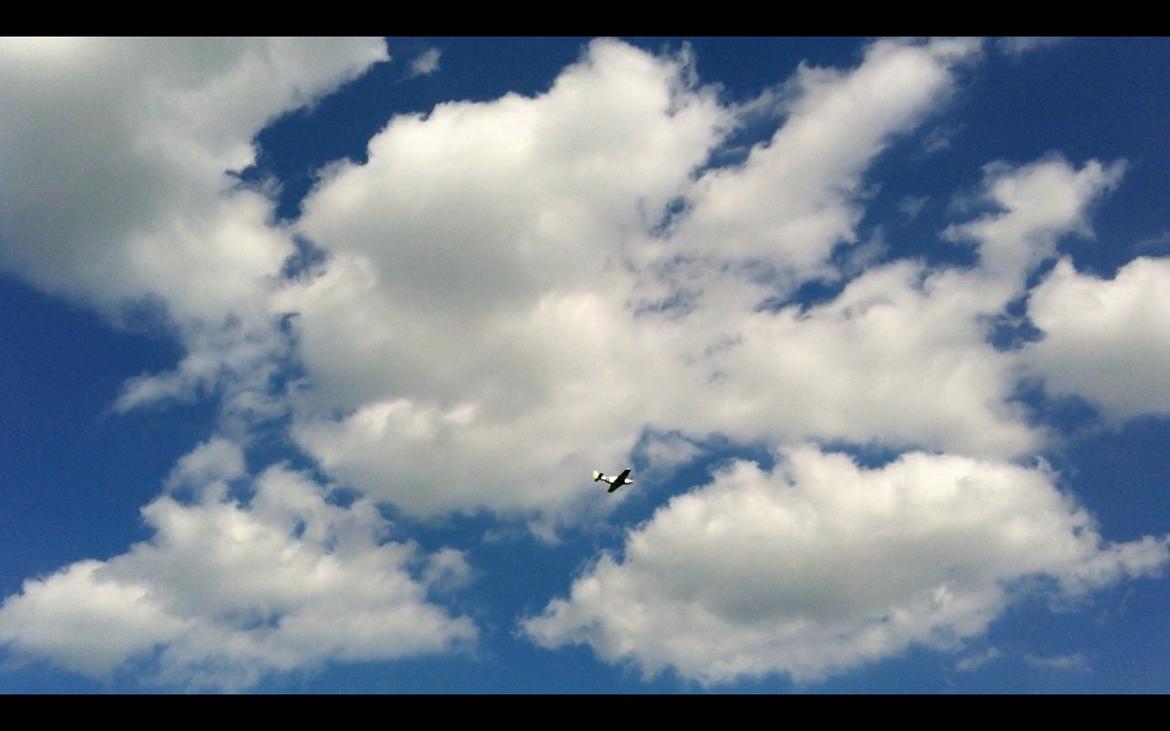 Fly Mustang P-51D (Warbird) billede 1