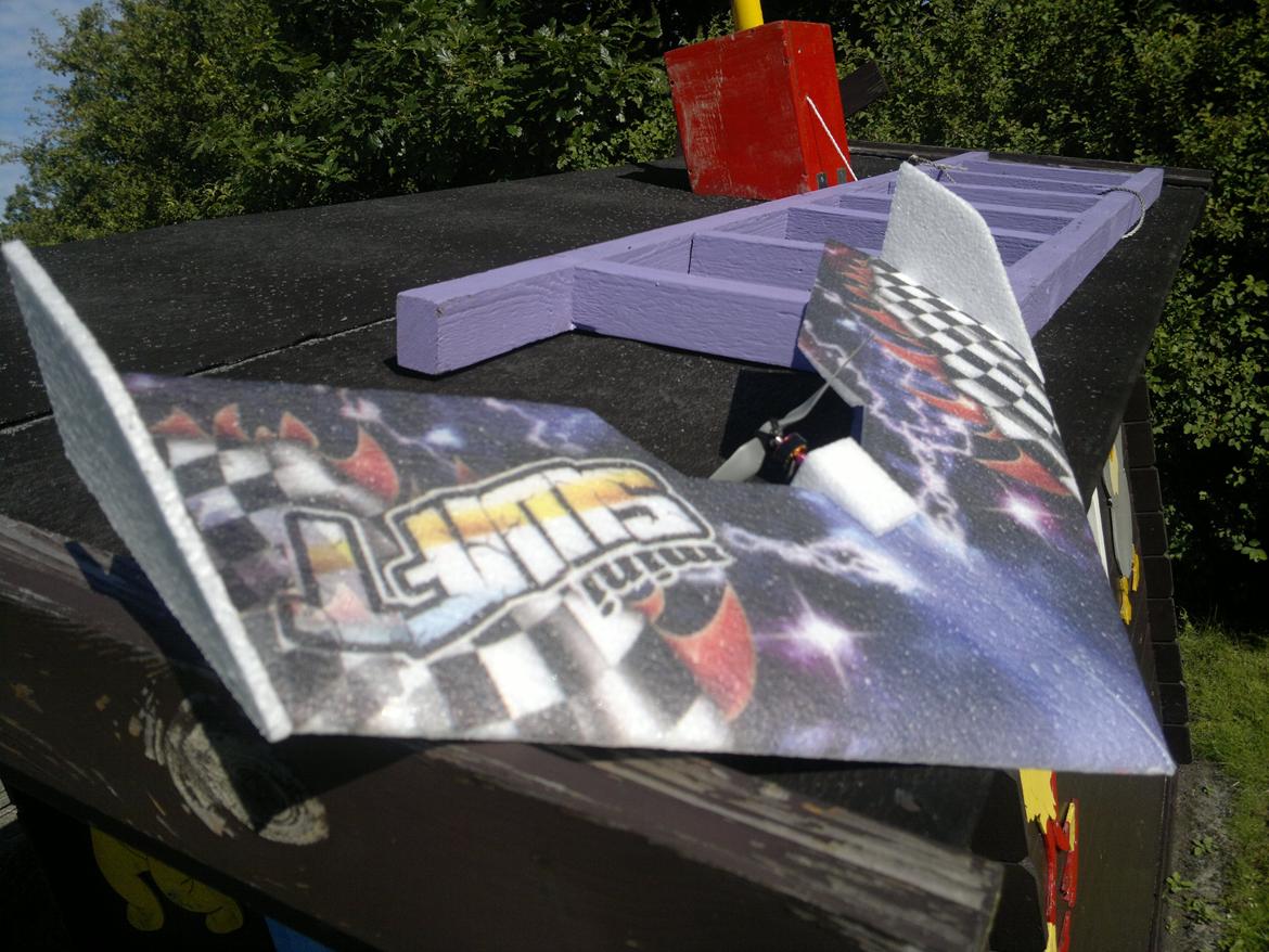 Fly Mini Swift billede 3