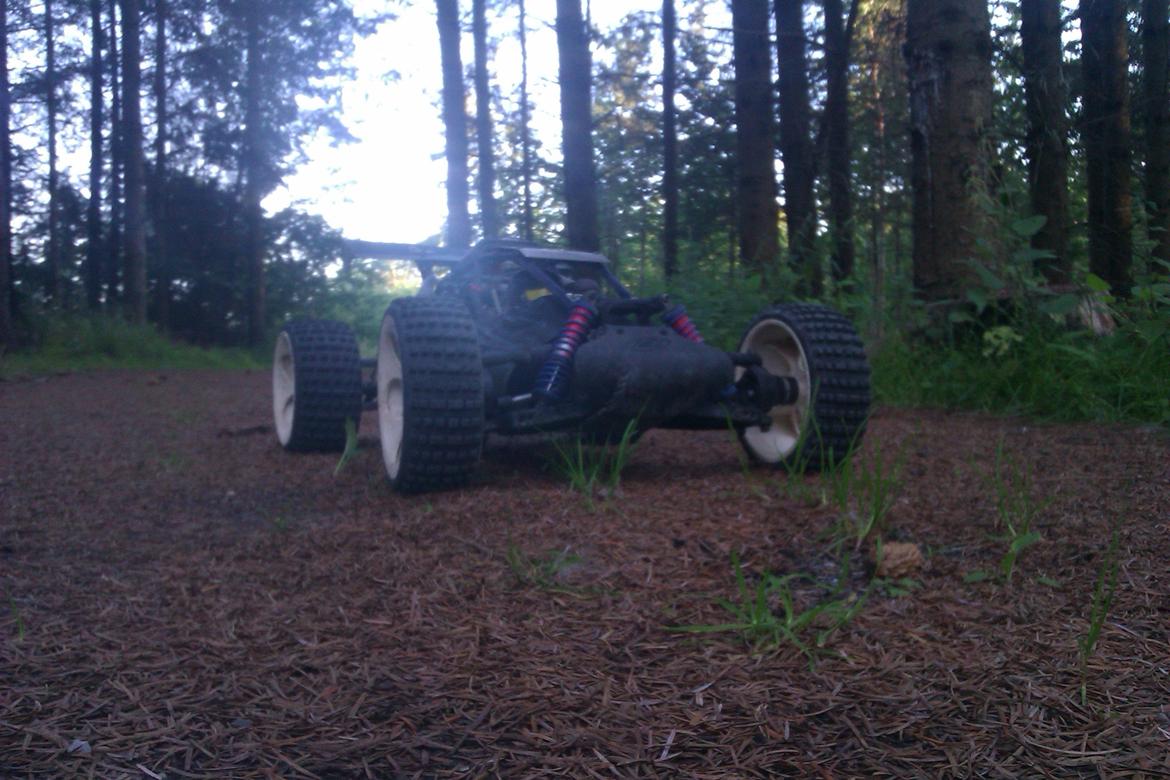 Bil fg baja buggy 1/6 - på skov tur billede 11